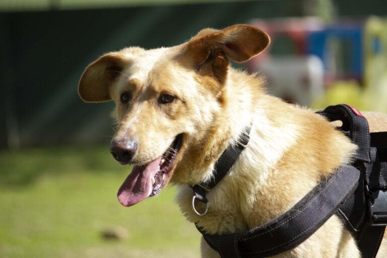 multimedia-foto71060-533-1