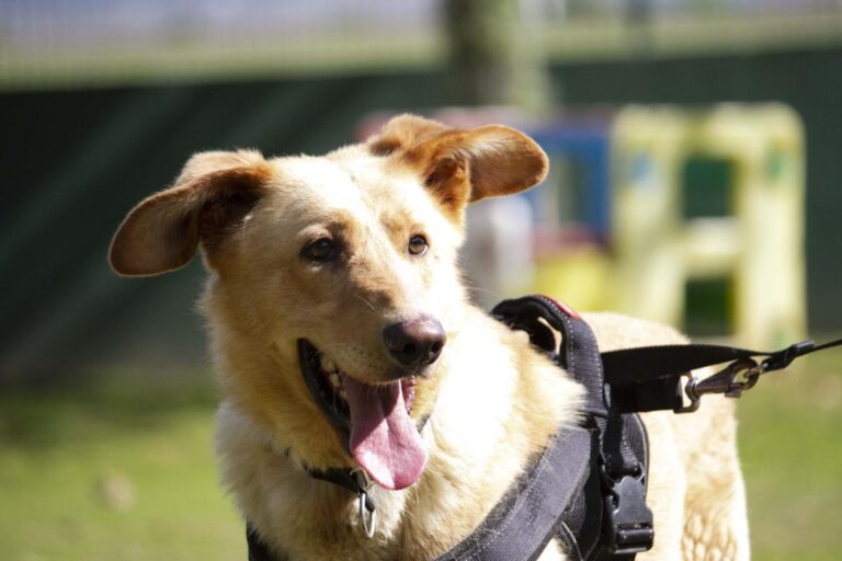 multimedia-foto71061-533-1