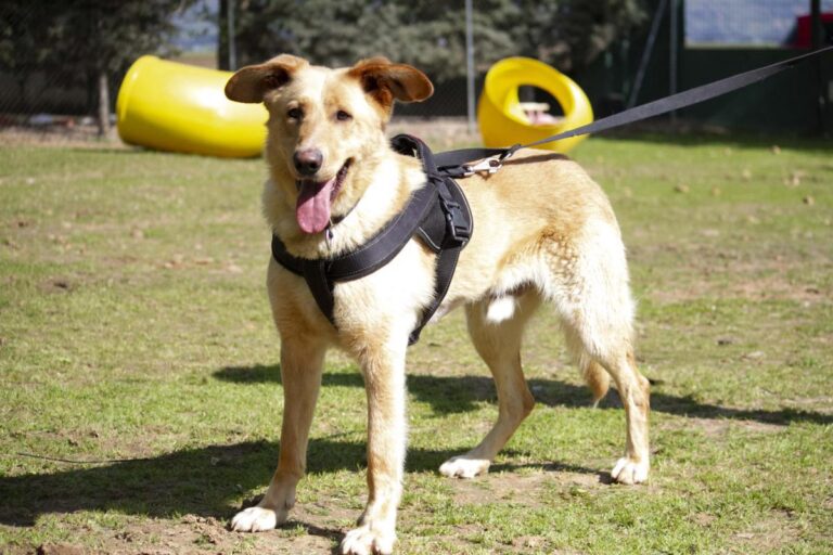 multimedia-foto71062-533-1