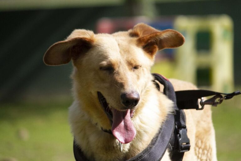 multimedia-foto71063-534-1