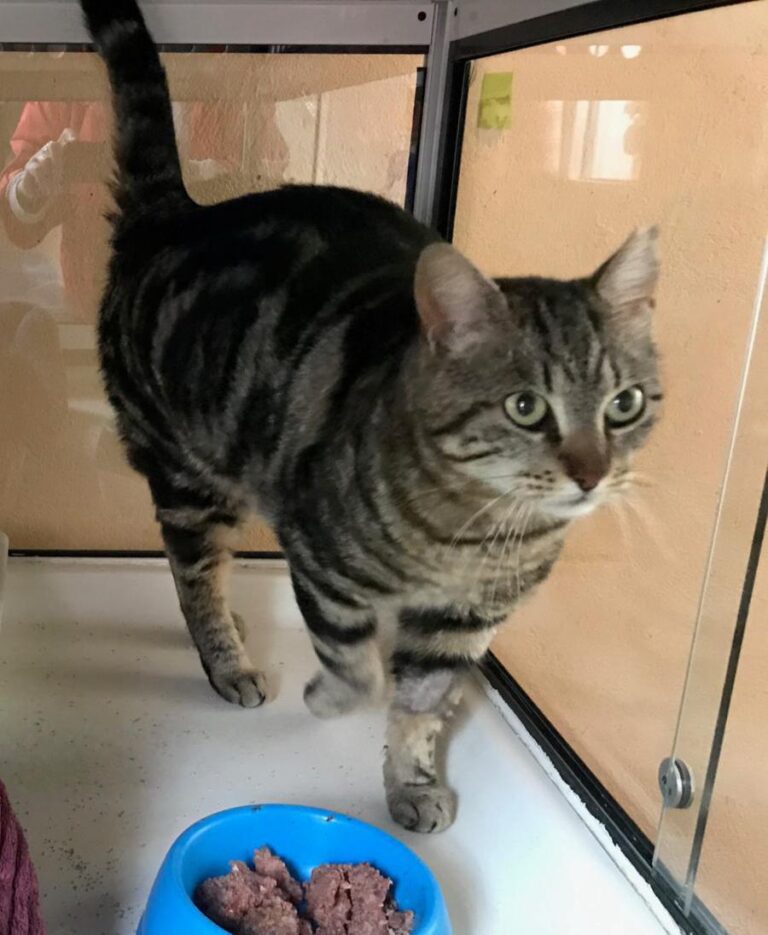 multimedia-foto71069-459-1