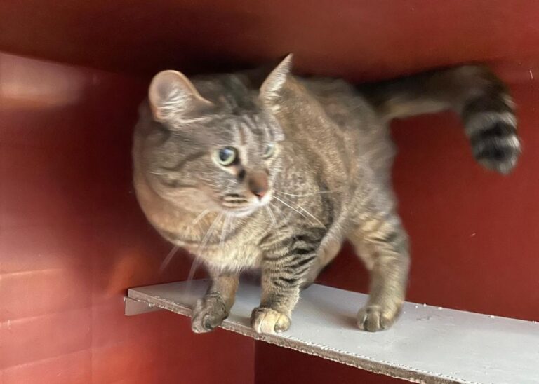 multimedia-foto71170-581-1