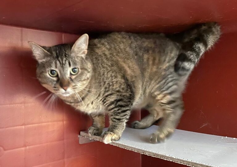 multimedia-foto71171-581-1