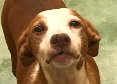 multimedia-foto71197-650-1