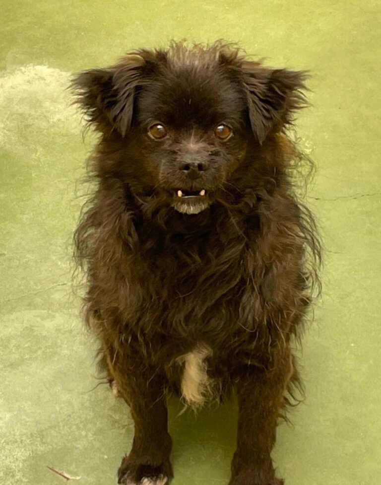 multimedia-foto71220-368-1