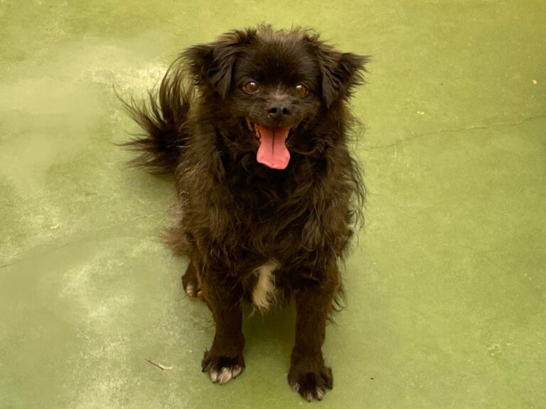 multimedia-foto71222-368-1