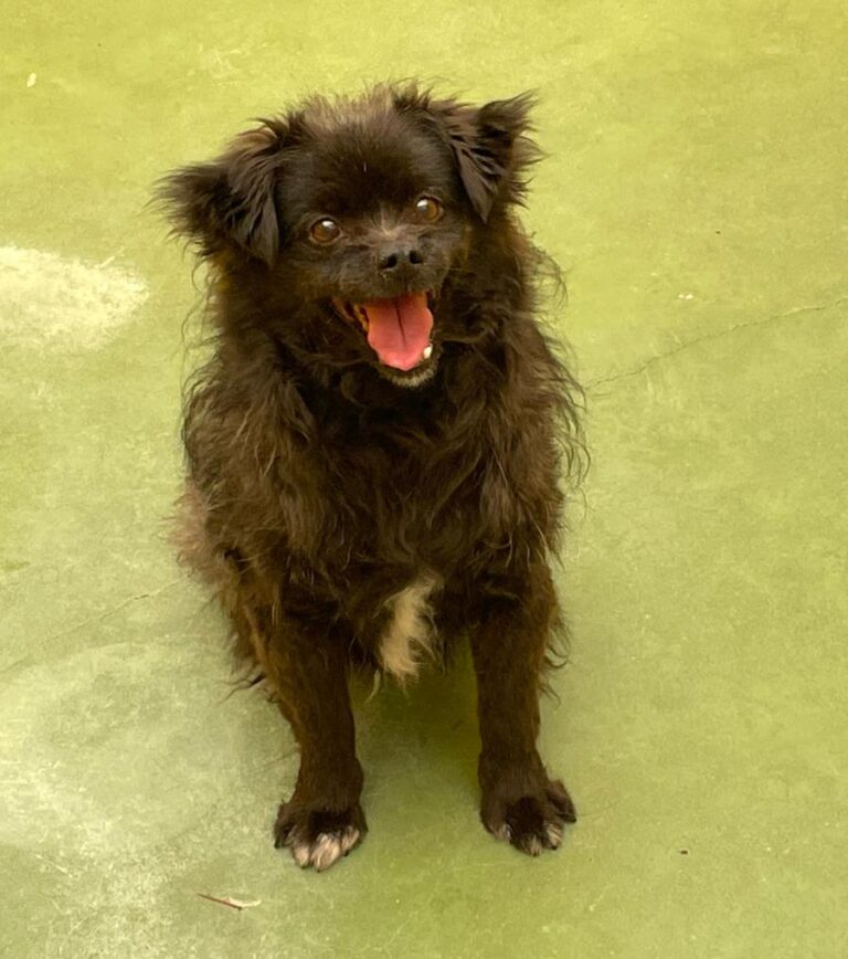 multimedia-foto71223-369-1