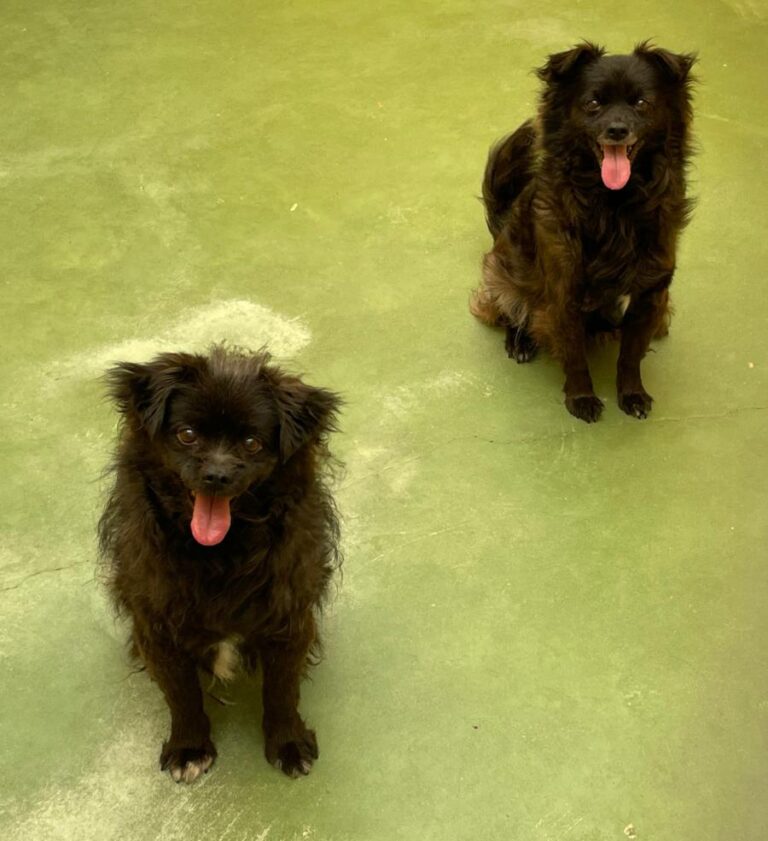 multimedia-foto71224-369-1