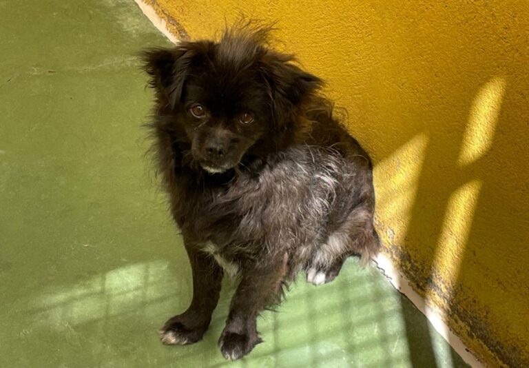 multimedia-foto71225-369-1