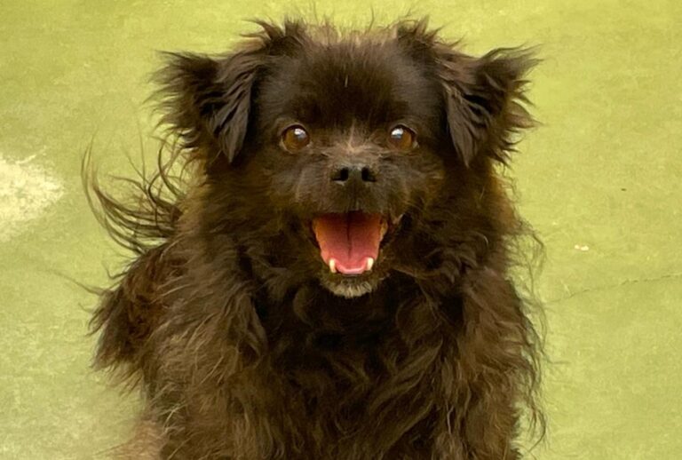 multimedia-foto71226-369-1