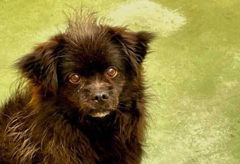 multimedia-foto71227-369-1