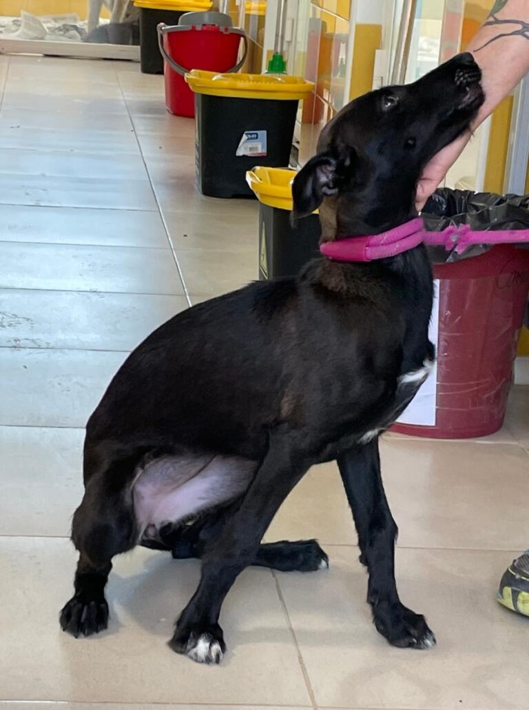 multimedia-foto71259-671-1