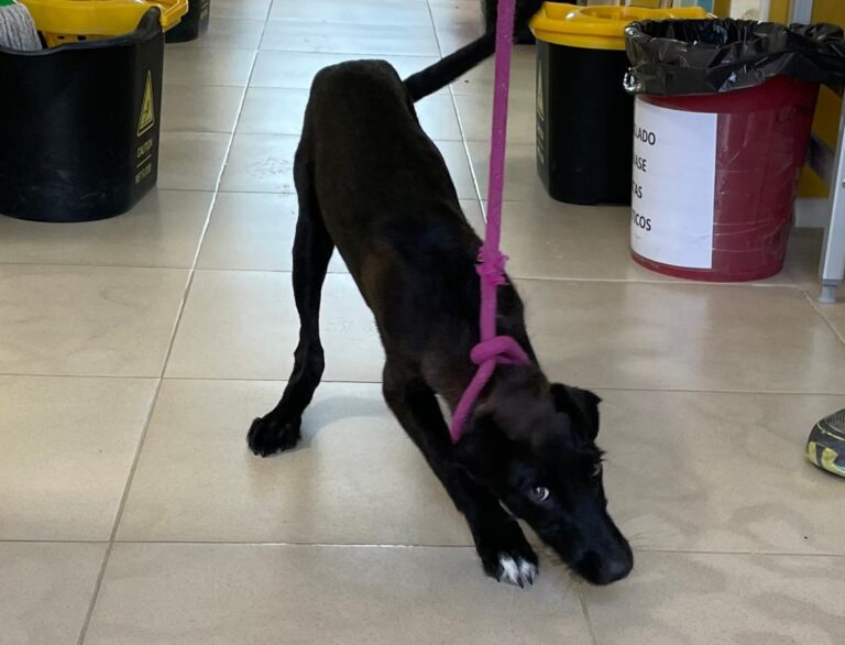 multimedia-foto71260-671-1