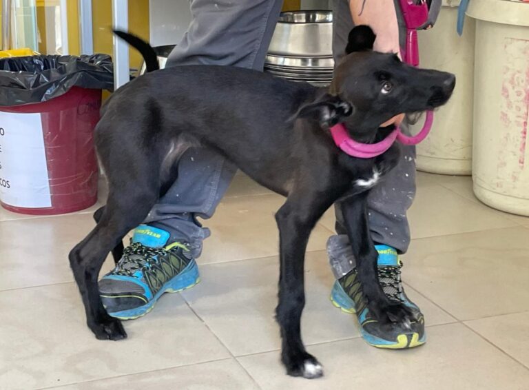 multimedia-foto71261-671-1