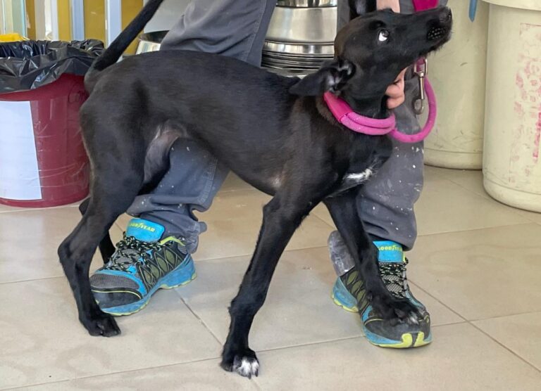 multimedia-foto71262-671-1