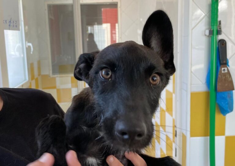 multimedia-foto71263-671-1