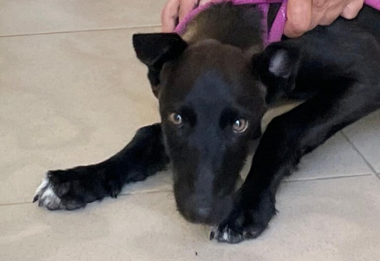 multimedia-foto71264-672-1