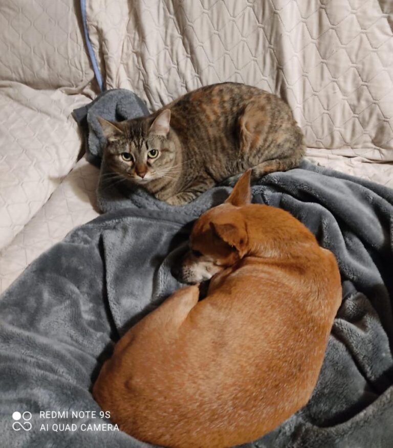 multimedia-foto71275-246-1