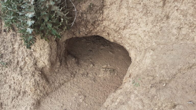 multimedia-foto71292-63-1