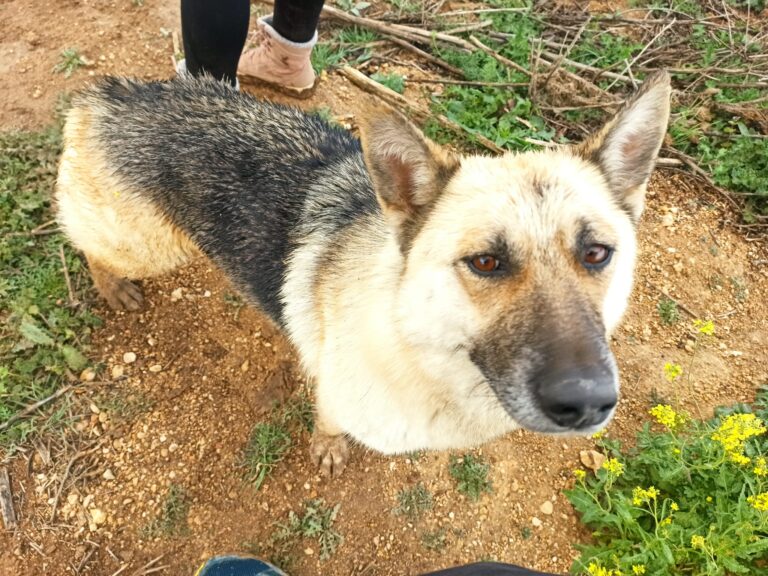 multimedia-foto71293-63-1