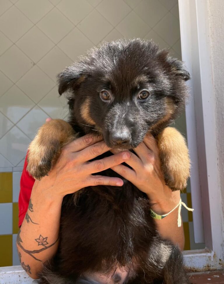 multimedia-foto71296-64-1