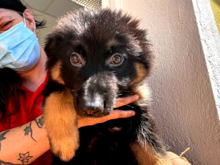 multimedia-foto71297-64-1