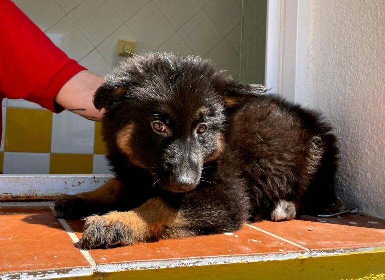 multimedia-foto71301-65-1