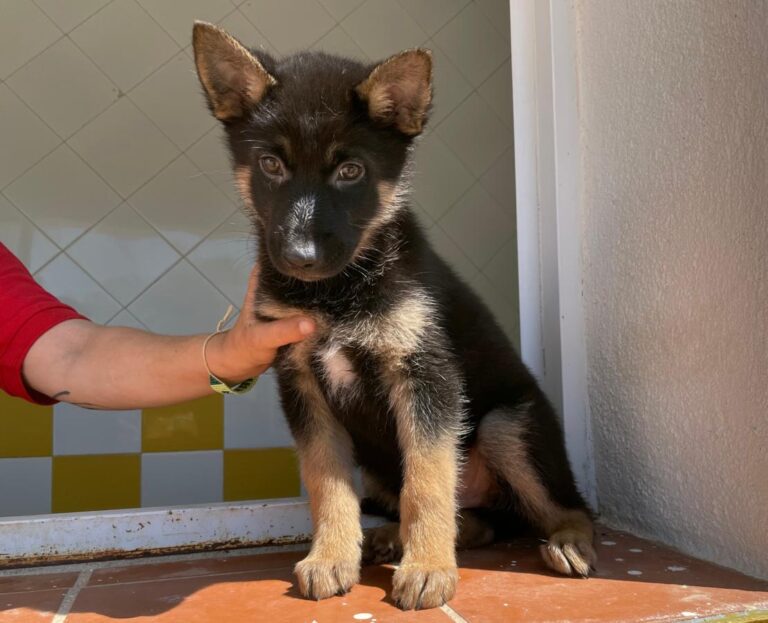 multimedia-foto71304-129-1