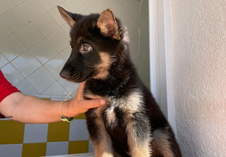 multimedia-foto71305-129-1