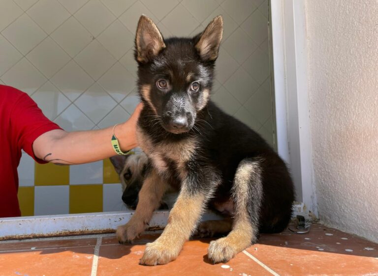 multimedia-foto71306-129-1