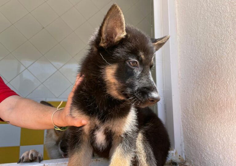 multimedia-foto71307-129-1