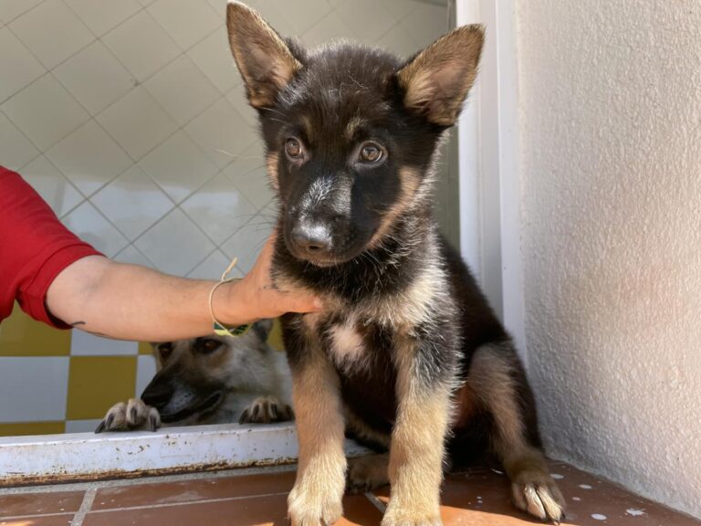 multimedia-foto71308-130-1