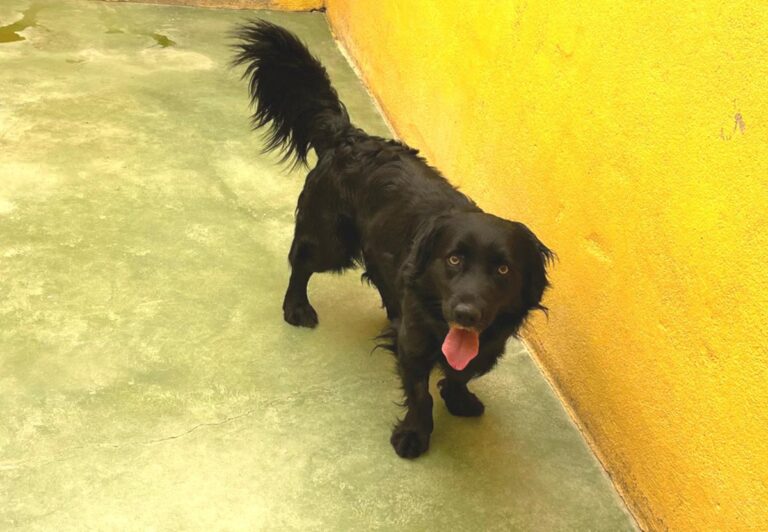 multimedia-foto71337-30-1