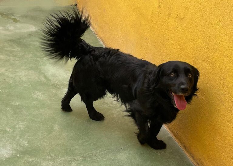 multimedia-foto71338-30-1