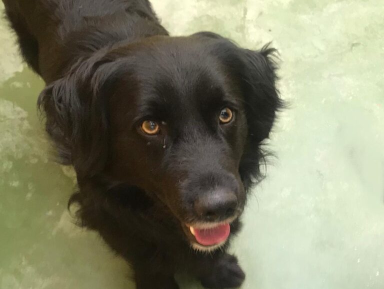 multimedia-foto71339-30-1