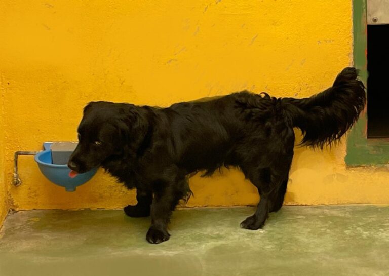 multimedia-foto71340-30-1