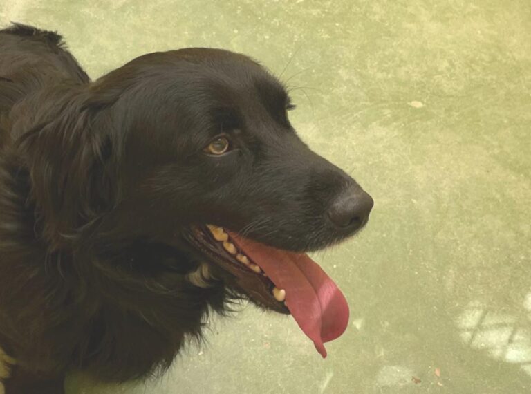 multimedia-foto71341-30-1