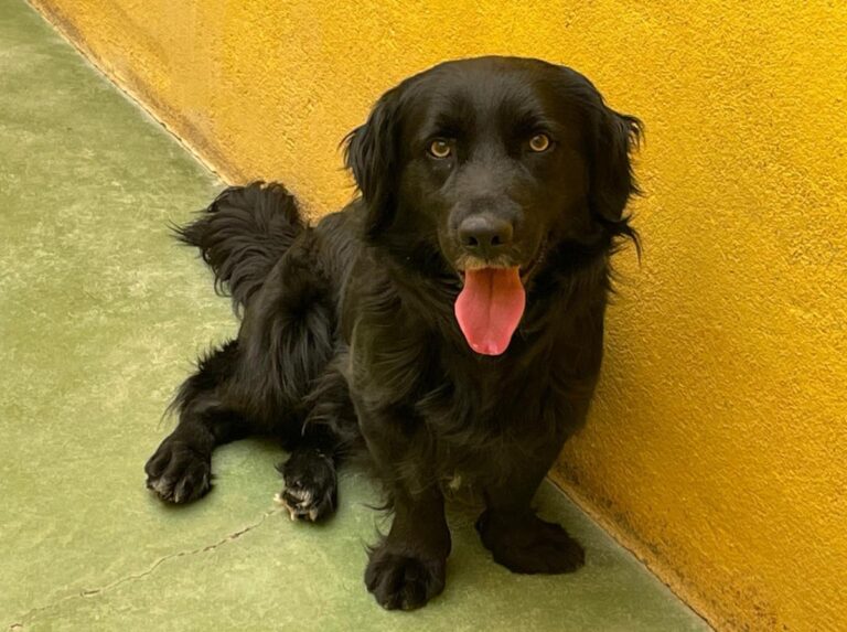 multimedia-foto71342-31-1