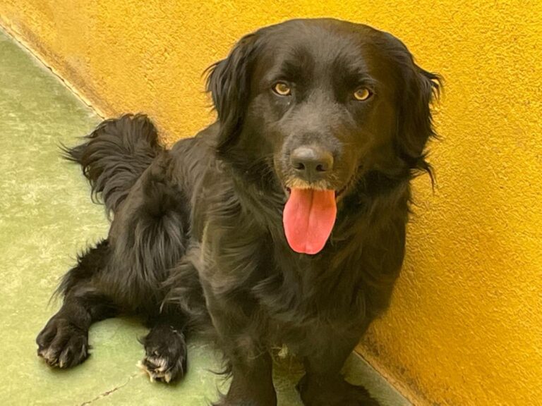 multimedia-foto71343-31-1