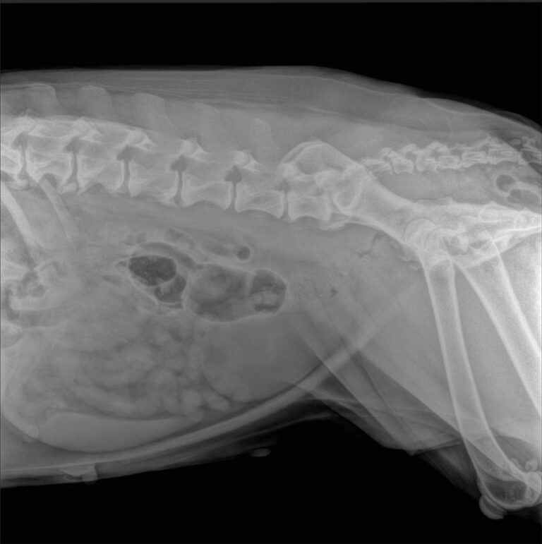 multimedia-foto71346-61-1