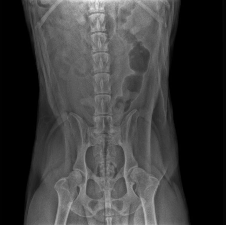 multimedia-foto71348-61-1