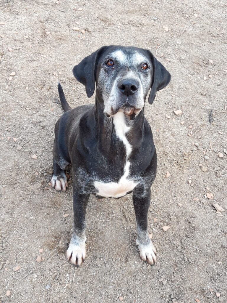 multimedia-foto71349-61-1