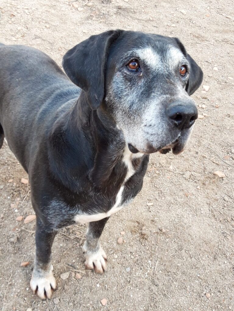 multimedia-foto71350-62-1