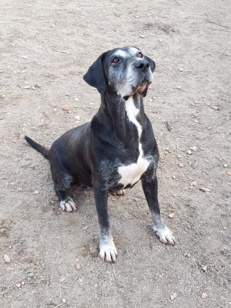 multimedia-foto71351-62-1