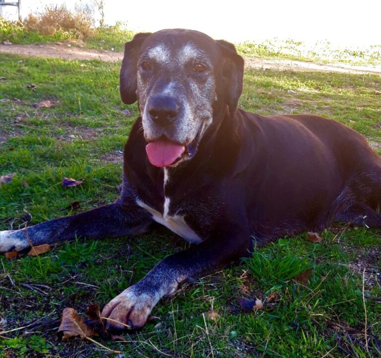 multimedia-foto71352-62-1