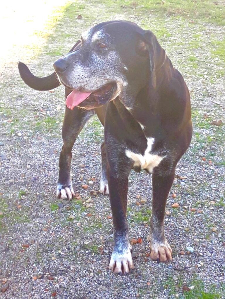 multimedia-foto71353-62-1