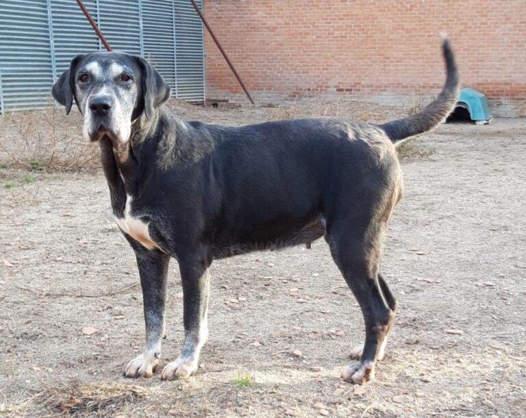 multimedia-foto71354-63-1