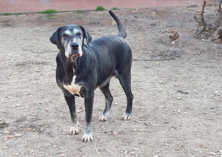 multimedia-foto71355-63-1