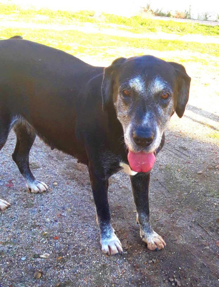 multimedia-foto71356-63-1