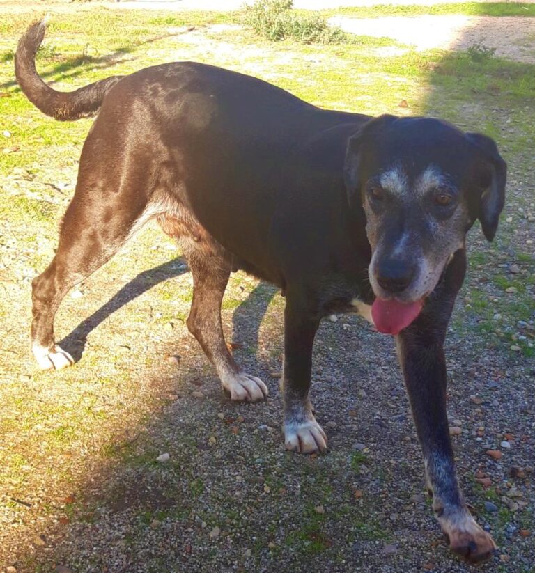 multimedia-foto71357-63-1